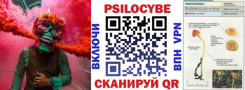 Галлюциногенные грибы Psilocybine cubensis  площадка состав  Рошаль  закладка 